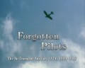 Forgotten Pilots